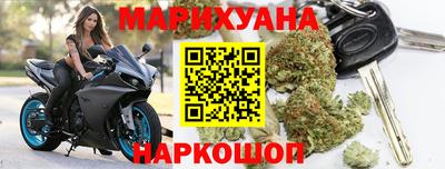 крисы Лесосибирск