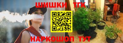 крисы Лесосибирск