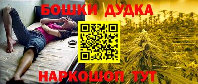 крисы Лесосибирск