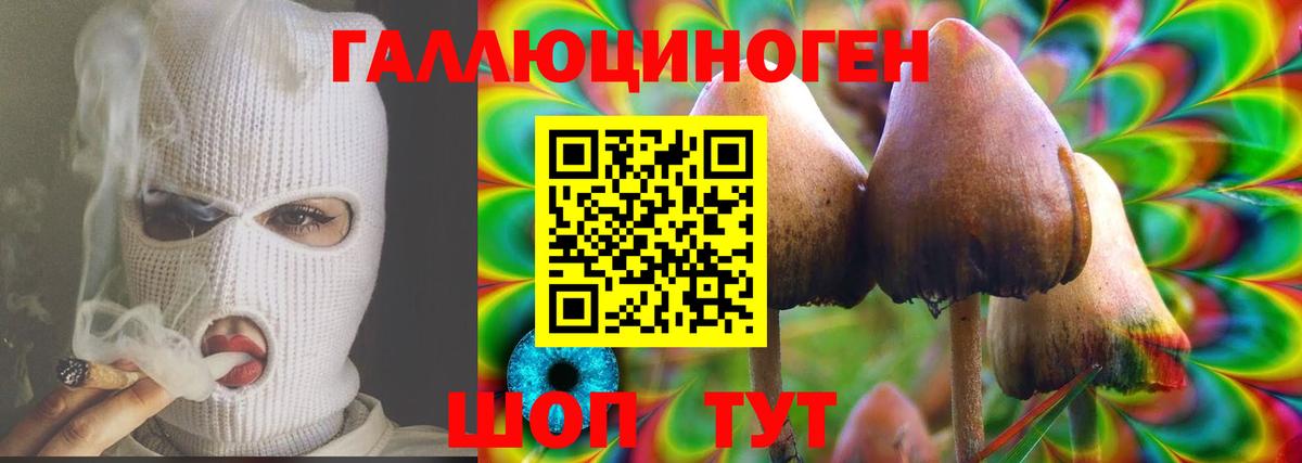 Галлюциногенные грибы Magic Shrooms Екатеринбург